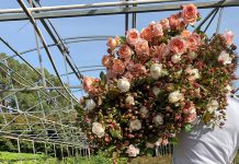 A ‘blooming’ good bouquet: Aussie flowers a must this Valentine’s Day