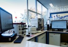 Microalgae identified as clean source of hydrogen production: Monash study