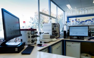 Microalgae identified as clean source of hydrogen production: Monash study