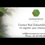 Medicinal cannabis facility to open in Collie