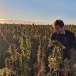 ECS Botanics’ Murray Meds inks supply agreement with Australian cannabinoid company