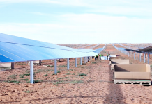 Mars Australia switches to renewable electricity as part of USD$1B global investment to fight climate change