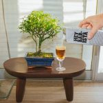 Oatly to open one of the world’s largest plant-based dairy factories in the UK