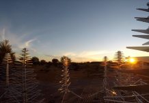 Government announces $387m investment to build the world’s largest radio telescope