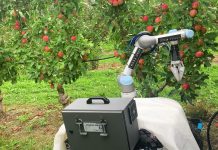Advanced core processing: New robot technology appealing for apple growers