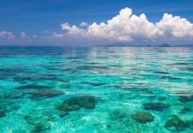 New $270m CRC to drive innovation in Australia’s emerging marine bioproducts sector