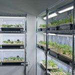 ECS Botanics secures a 4-year agreement with MW Pharma Limited