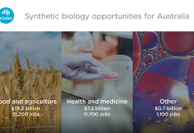 Synthetic biology could unlock $27 billion a year and create 44,000 new jobs for Australia by 2040, according to report