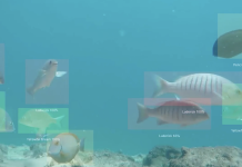 Australian manufacturer provides new perspective to ocean of information