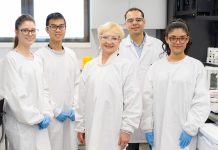 Aussie-Japanese science team develop food packaging texture inspired by bacteria-shredding insect wings