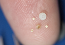 Accumold Presents At “Europe Meets USA 2022” Event