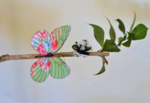 New shape-shifting material created that can move like a robot