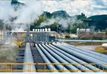 ARENA announces funding for clean energy-powered heat pump solution for poultry