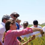 Nufarm acquires GranBio’s energy cane assets to expand biomass production