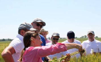 Nufarm acquires GranBio’s energy cane assets to expand biomass production