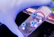 Vic announces funding for new medtech innovation & commercialisation centre