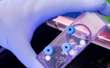 Vic announces funding for new medtech innovation & commercialisation centre