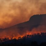 NSW invests in bushfire technology R&D program