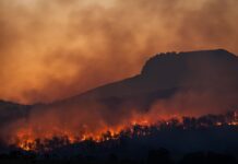 NSW invests in bushfire technology R&D program