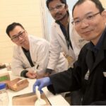 New biopolymer coating developed to solve food packaging issues