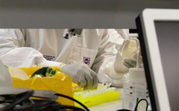 Queensland receives federal funding to accelerate biomanufacturing sector