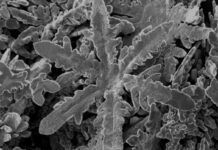 I’m dreaming of a zinc Christmas?! Intricate ‘snowflakes’ created in liquid metal