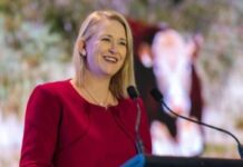 Northern Territory eyes stronger critical mineral ties with Japan, S. Korea