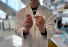Monash researchers create skin-like wearable medical patch with nanotech, AI