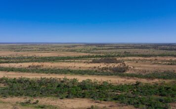 Work underway for proposed Barcaldine Renewable Energy Zone in Qld