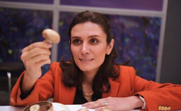 UQ seeks to develop biodegradable bags for mushroom farming