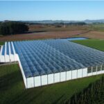 Greenhouse builder Apex sells minority stake to Dutch player