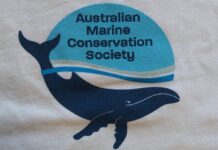 Australia’s plastic emissions will more than double by 2050 – research says