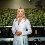 Medicinal cannabis provider Little Green Pharma receives order to support European trial