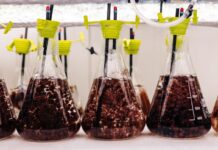AMGC backs Tasmanian manufacturer in reducing livestock emissions
