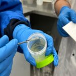 Researchers develop ultrathin nanotech to combat antibiotic resistance