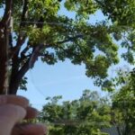 Meta Materials, Panasonic Industry join forces to advance transparent conductive materials