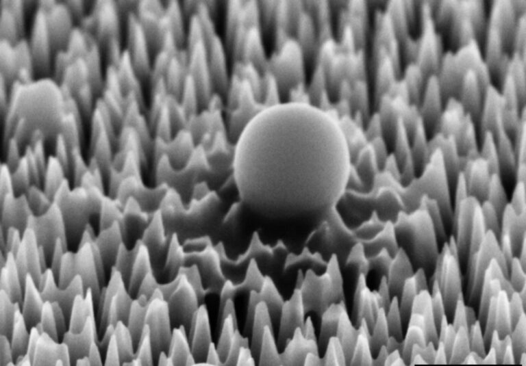 Nano-spiked silicon surface destroys 96% of virus particles, says researchers