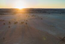 ASM advances rare earths project with US EXIM’s USD 600M support