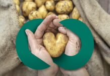 End Food Waste Australia applauds senate inquiry’s push for nationwide food waste action