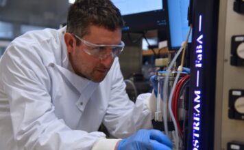 Biosustainability hub at UQ to forge new paths in eco-friendly manufacturing