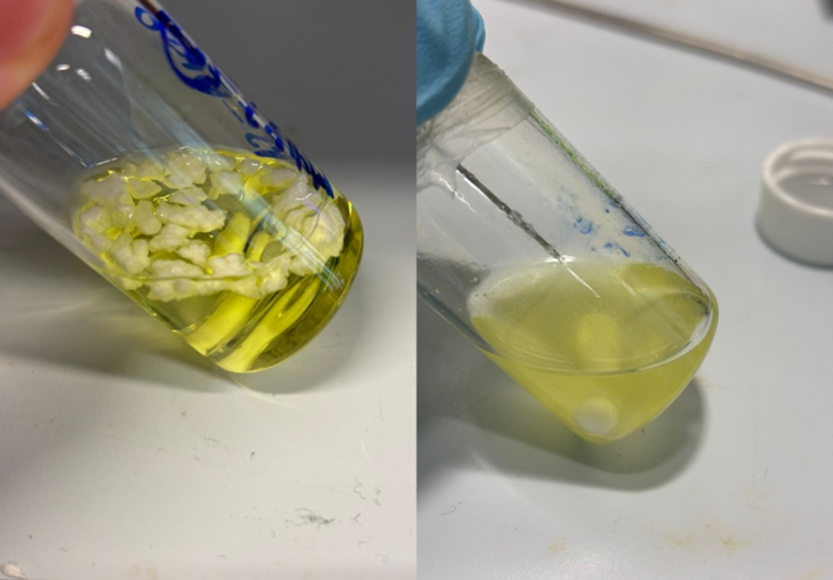 Sunlight-powered plastic breakdown method