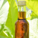 Australian-led science breakthrough to boost biofuel production without impacting food security