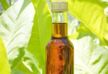 Australian-led science breakthrough to boost biofuel production without impacting food security