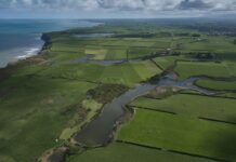 Fonterra and Nestlé report early success in net zero dairy farm pilot