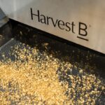 Breakthrough Victoria backs Harvest B with $2m for food manufacturing growth