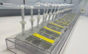 Green hydrogen breakthrough wins 2024 Climate Innovation Challenge