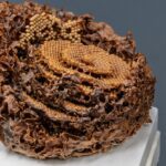 Bee-inspired designs could shape the future of additive manufacturing