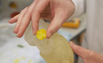 Georgia Tech scientists create self-regenerating heart valve for long-term treatment