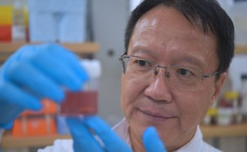 UQ researchers develop nanotech to boost immunotherapy for breast cancer