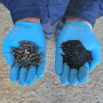 RMIT develops tech to replace petroleum with eco-friendly bio-oils